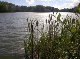 The lake at West Stow